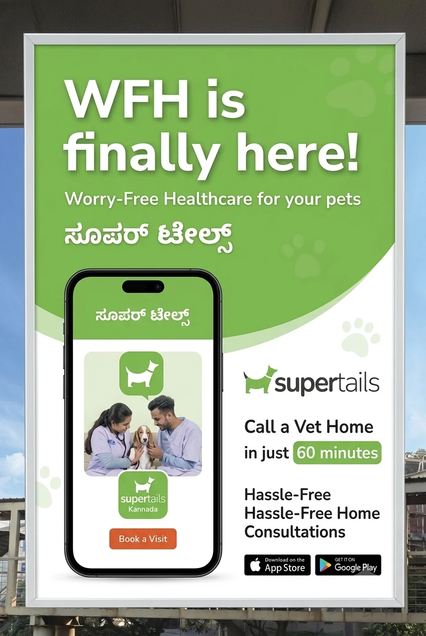 Supertails campaign
